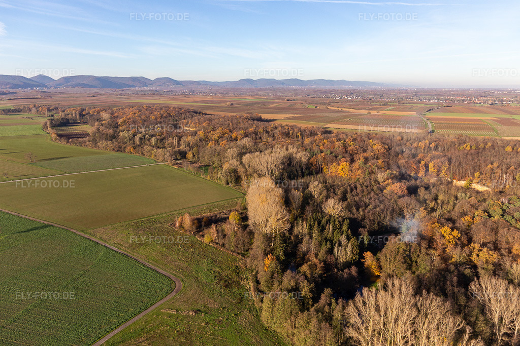 Luftbild: Billigheimer Bruch, Erlenbachtal zwischen Barbelroth, Hergersweiler und Winden im Ortsteil Ingenheim in Billigheim-Ingenheim im Bundesland Rheinland-Pfalz in Deutschland. Foto: IMG_123881.jpg vom 21.11.2020 durch Werner Riehm/FLY-FOTO.de