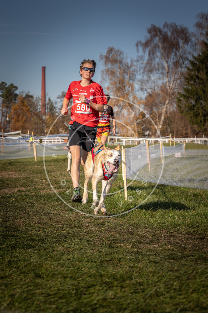 CaniXpix_0L8A8157 | Hundefotografie, Tierfotograf, Pfotenfotografie, Fotoshooting Hund, Hunde Portrait, Hundesport, Hundeportraits, Heideshooting, Hunde, Sportfotograf, Hundefotograf, Turnierhundsport, THS,  - Realisiert mit Pictrs.com