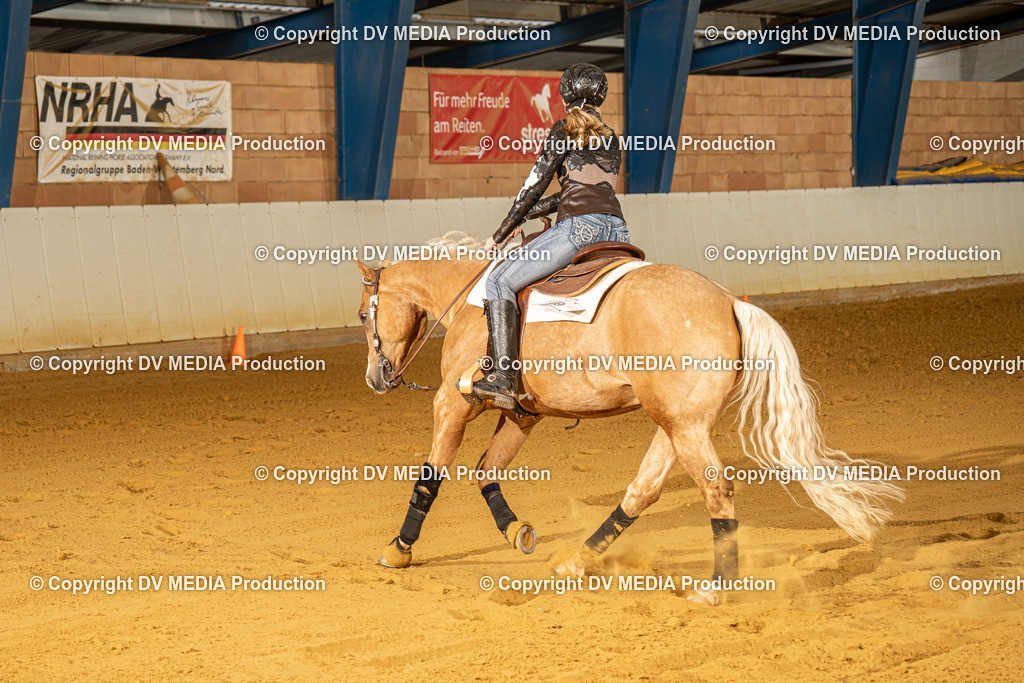 MIT00552 | dv-media-shop - Realisiert mit Pictrs.com