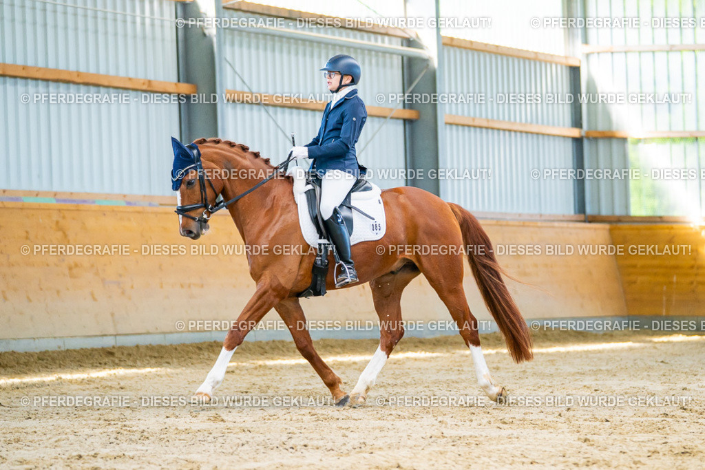 DSC06506 | Pferdegrafie