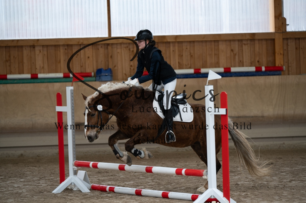 A7V09951 | Pferdefotograf