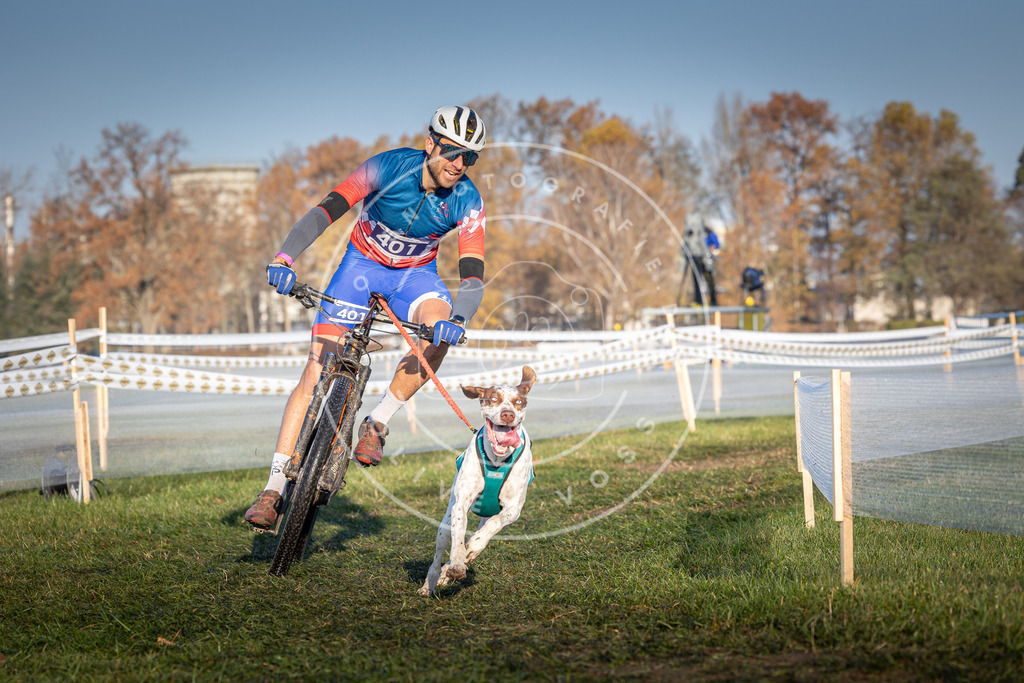 CaniXpix_0L8A3961 | Hundefotografie, Tierfotograf, Pfotenfotografie, Fotoshooting Hund, Hunde Portrait, Hundesport, Hundeportraits, Heideshooting, Hunde, Sportfotograf, Hundefotograf, Turnierhundsport, THS,  - Realisiert mit Pictrs.com