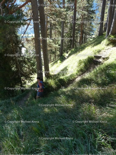 P1010954 | Michael Krenz