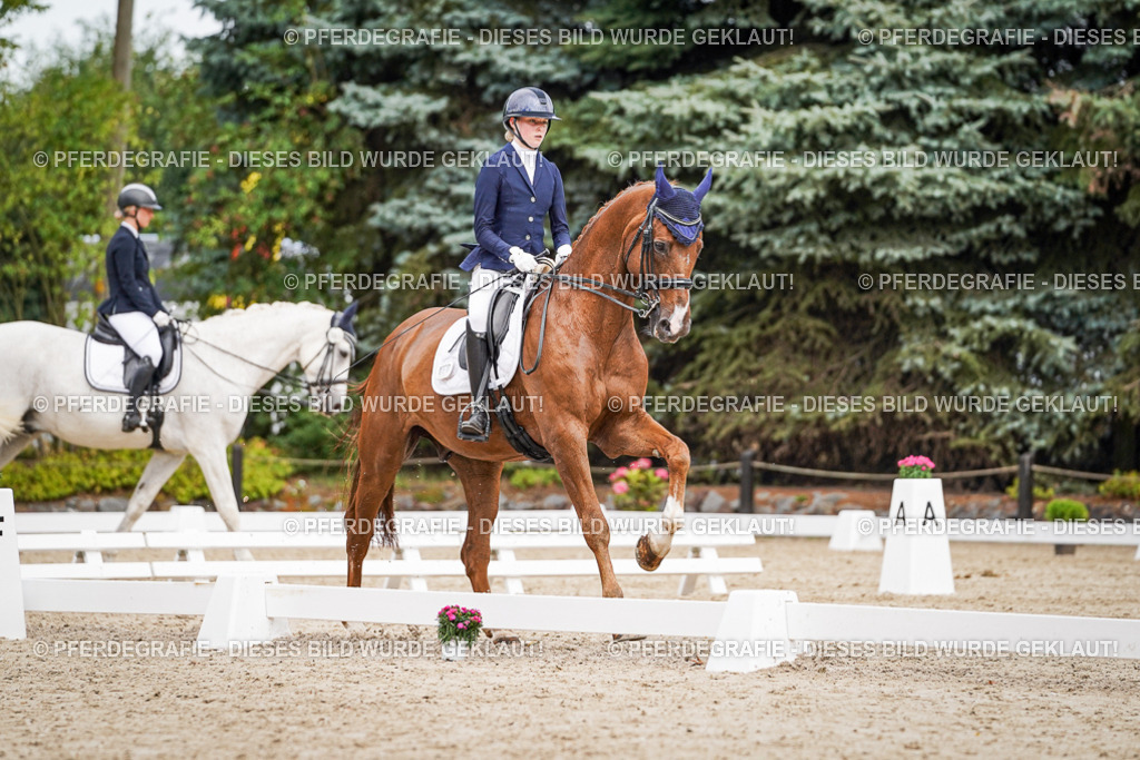 DSC02743 | Pferdegrafie