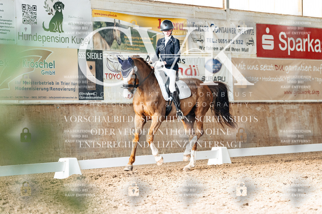 CK903298 | Turnierfotografie Pferdefotografie Trier Rheinland-Pfalz Pferdesport Reitsport Tierfotografie Sportfotografie Pferdevideo Pferdevideografie Equestrianvideography equestrianphotography  - Realisiert mit Pictrs.com