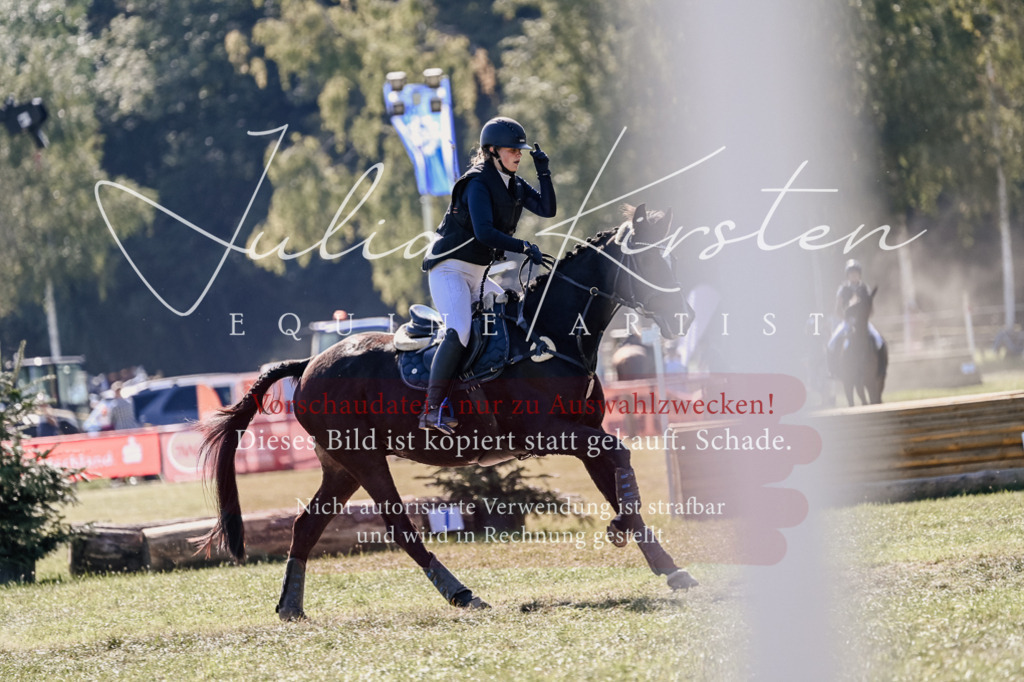 DSC_3236 | Pferde- und Turnierfotografie in Westsachsen. Pferdeportraits, Auftragszeichnungen und intuitive Kunst.