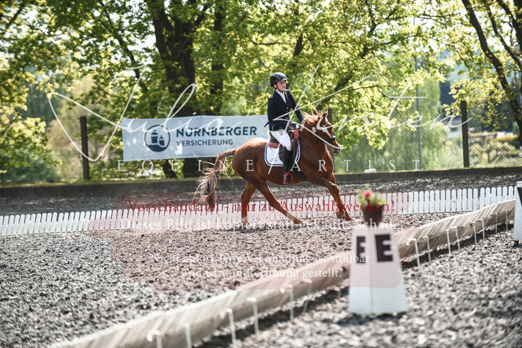 DSC_9055 | Pferde- und Turnierfotografie in Westsachsen. Pferdeportraits, Auftragszeichnungen und intuitive Kunst.