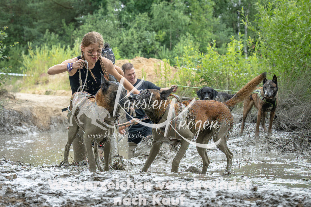 1559_ZZ90050-Verbessert-RR | kk-dogfotos