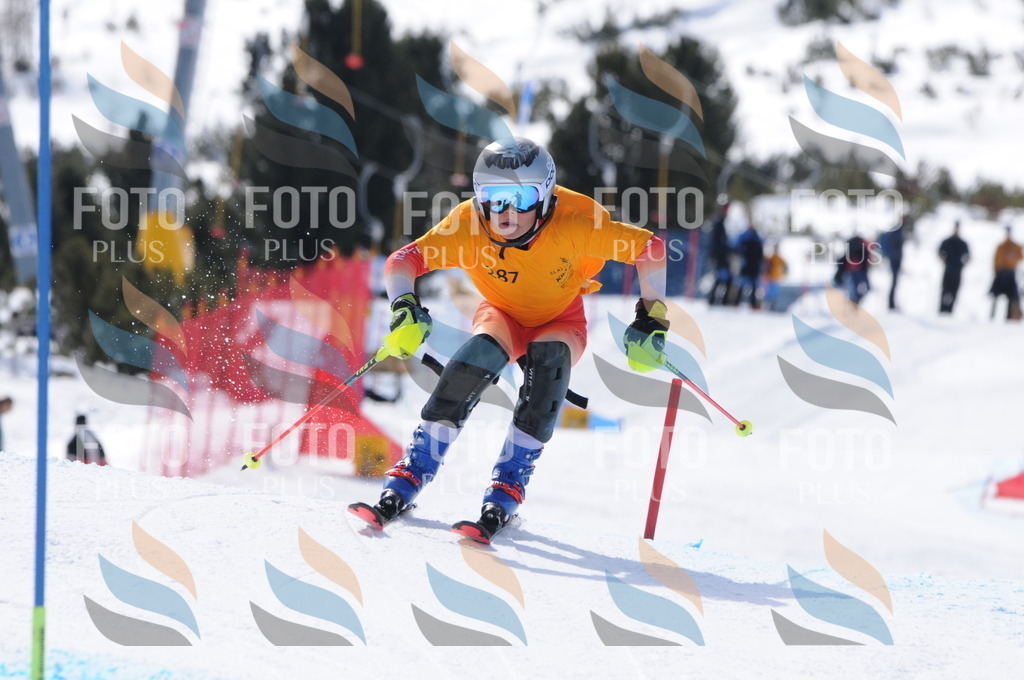 C9046 | holidayphoto