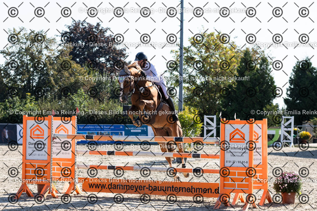 CL5A7554 | Emilia Reinking Fotografie - Realisiert mit Pictrs.com