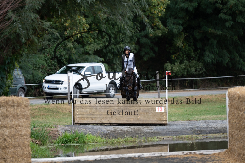 A7V00707 | Pferdefotograf