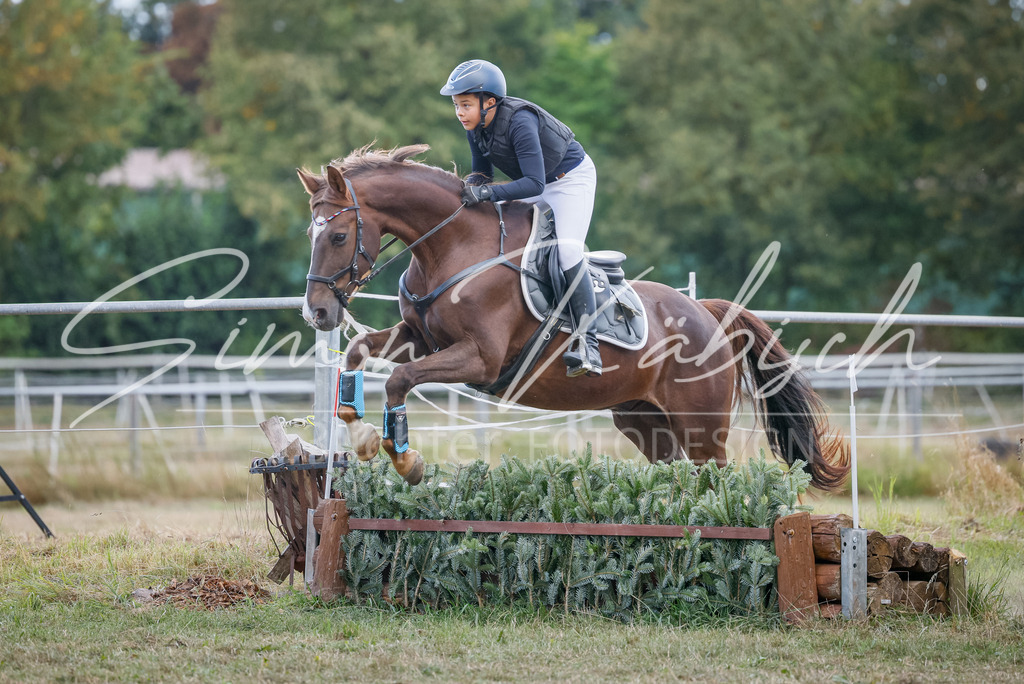 20250905-_3LI1747 | Tierfotografie Pferde, Hunde, Katzen, Haustiere.
Turnierfotografie Reitturniere, Reiten, Springreiten, Dressur in Hanau, dem Main-Kinzig-Kreis und dem Rhein-Main- Gebiet um Frankfurt