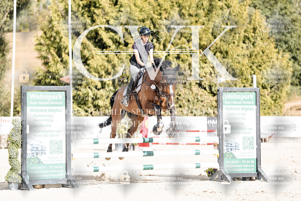CK909045 | Turnierfotografie Pferdefotografie Trier Rheinland-Pfalz Pferdesport Reitsport Tierfotografie Sportfotografie Pferdevideo Pferdevideografie Equestrianvideography equestrianphotography  - Realisiert mit Pictrs.com
