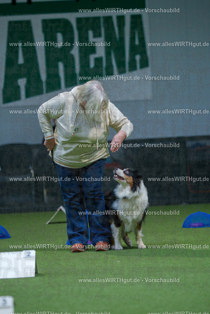 7R501421 | Professionelle Tierfotografie in Mönchengladbach von Daniel Wirth (allesWIRTHgut). Liebevolle & natürliche Bilder von Hunden & Katzen für unvergessliche Erinnerungen.