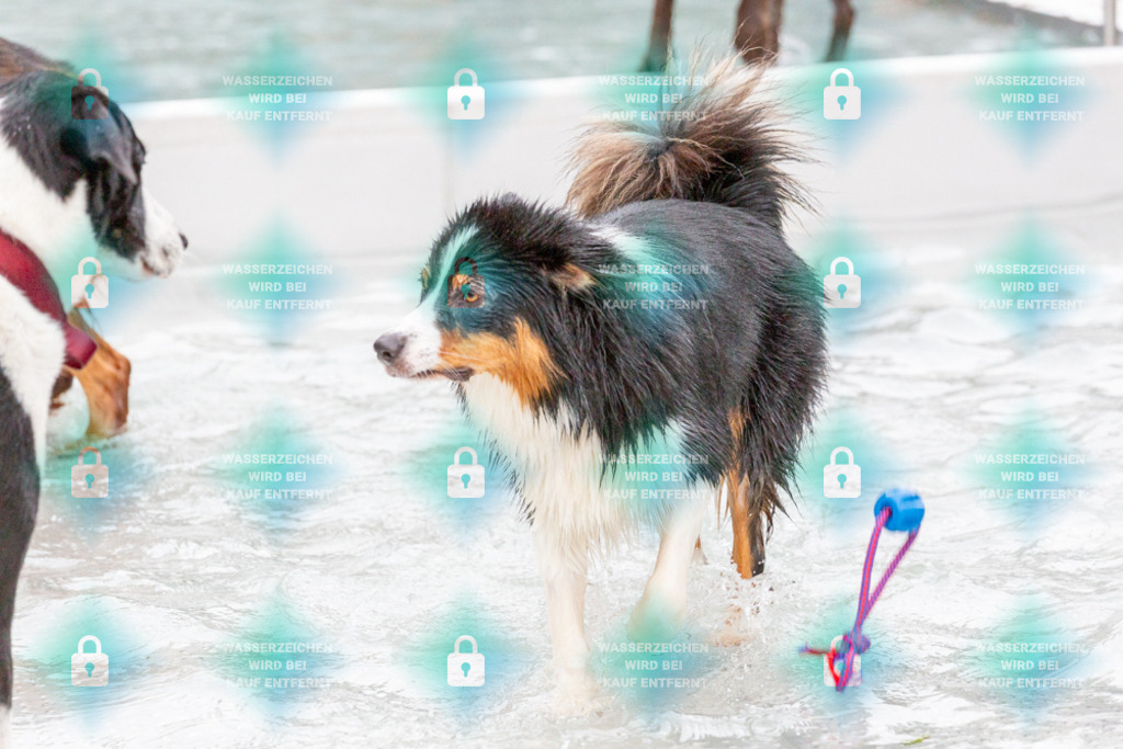 _HP_7400_1000o | HetPix, HetPix Fotodesign, Fotografie, Fotodesign, Webshop, Sportfotografie, Portraitfotografie, Onlineshop, Sportfotografie, Polch, Motorsportfotografie, Eventfotografie