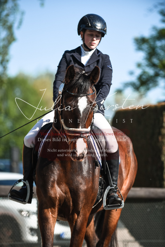 DSC_8274 | Pferde- und Turnierfotografie in Westsachsen. Pferdeportraits, Auftragszeichnungen und intuitive Kunst.