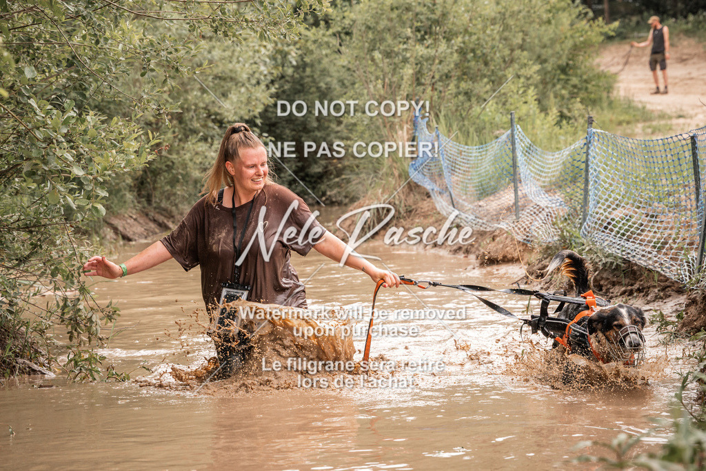 nelerasche_Hoope2026_So1000-1030_211 | nelerasche