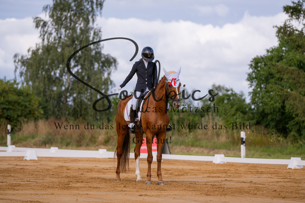 A7V05123 | Pferdefotograf