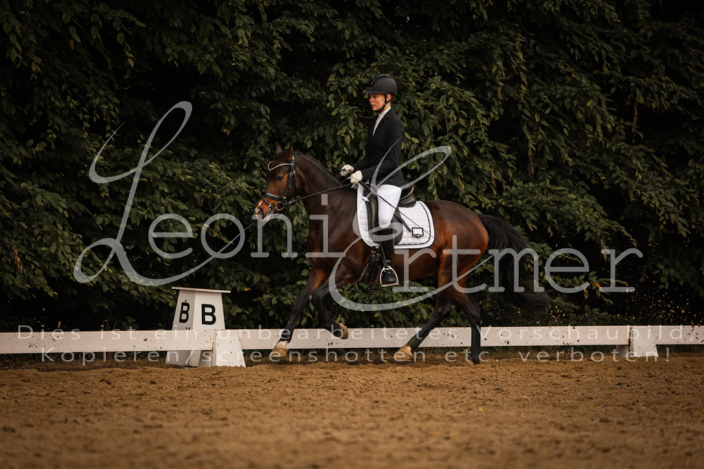 DoDrA00459 | Leoni Ertmer Photography - Realisiert mit Pictrs.com