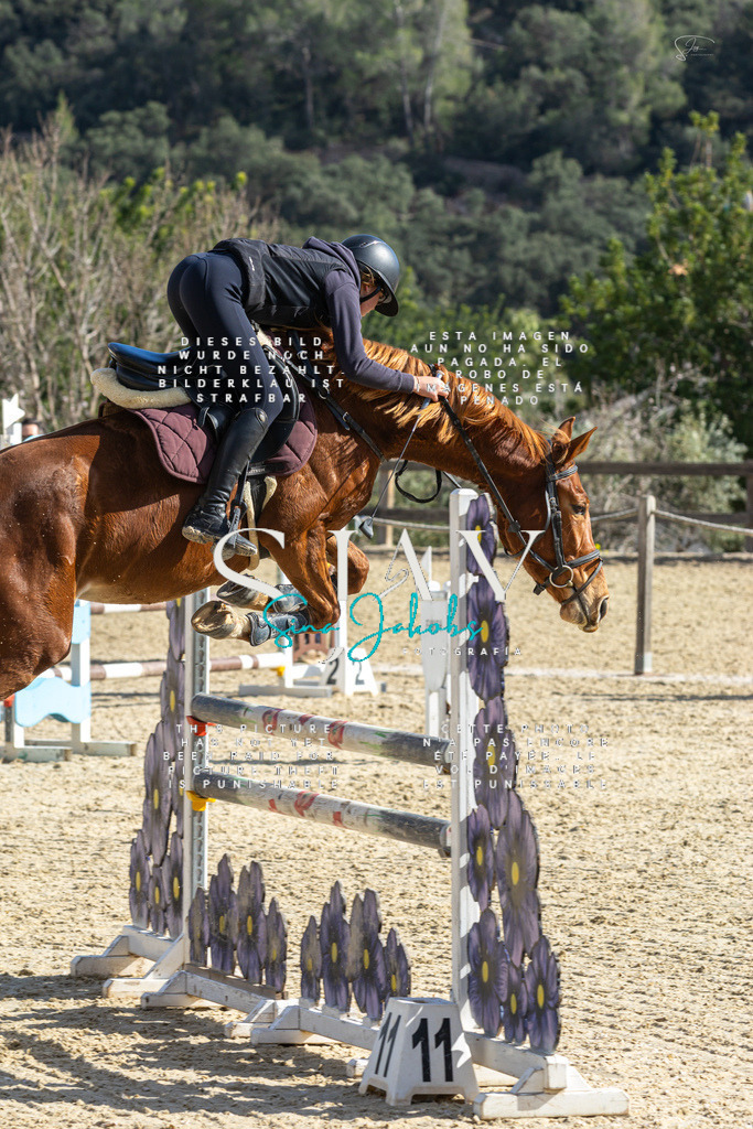 IMG_4069 | s-jay-photography - Realisiert mit Pictrs.com