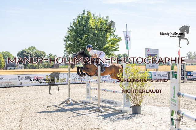 26-7-24 Amateur L-12 | mandyhollmannphotographie