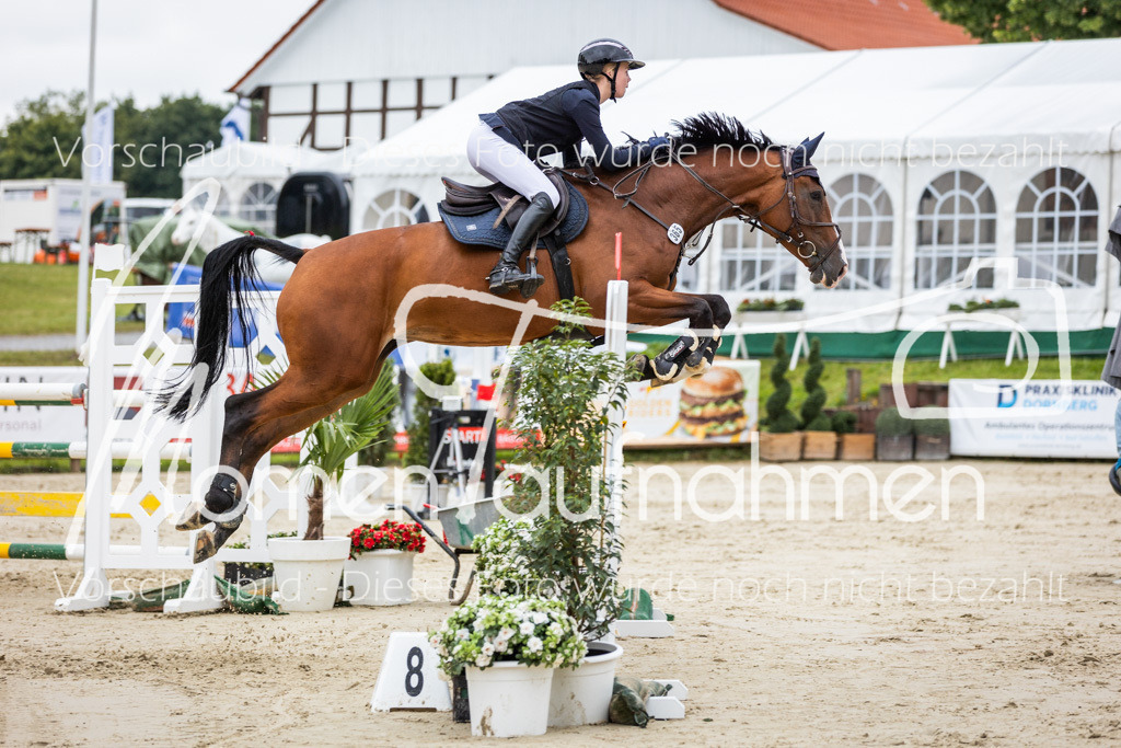 BHO-2PhSpr-M-219 | MomenTaufnahmen Pferdesportfotos