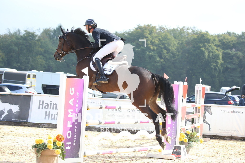 DL2Q4307 | Willkommen bei Brunnmayr - Design & Fotografie – Ihrem Spezialisten für Reitturniere und Pferdeveranstaltungen in Oberösterreich, Salzburg und Bayern! Seit über 17 Jahren sind wir leidenschaftlich dabei.