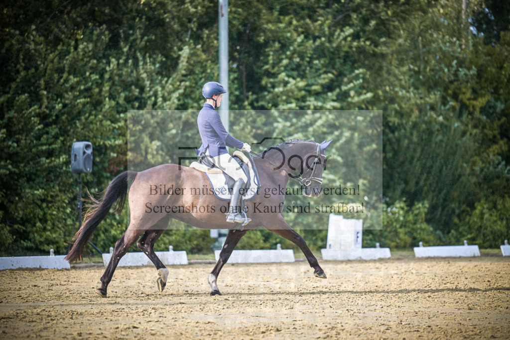 DOS_0480 | Entdecke hochwertige Reitturnierfotos von Foto Oger. Professionell, emotional und authentisch – jetzt Lieblingsmomente im Shop bestellen.Deutschlandweite Turnierfotografie. - Realisiert mit Pictrs.com