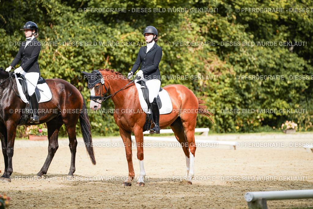 DSC02996 | Pferdegrafie