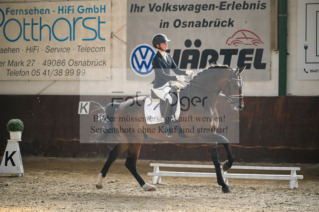 Reitturnier Voxtrup | Entdecke hochwertige Reitturnierfotos von Foto Oger. Professionell, emotional und authentisch – jetzt Lieblingsmomente im Shop bestellen.Deutschlandweite Turnierfotografie. - Realisiert mit Pictrs.com