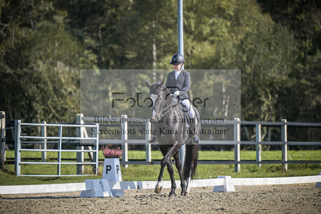DOS_2948 | Entdecke hochwertige Reitturnierfotos von Foto Oger. Professionell, emotional und authentisch – jetzt Lieblingsmomente im Shop bestellen.Deutschlandweite Turnierfotografie. - Realisiert mit Pictrs.com