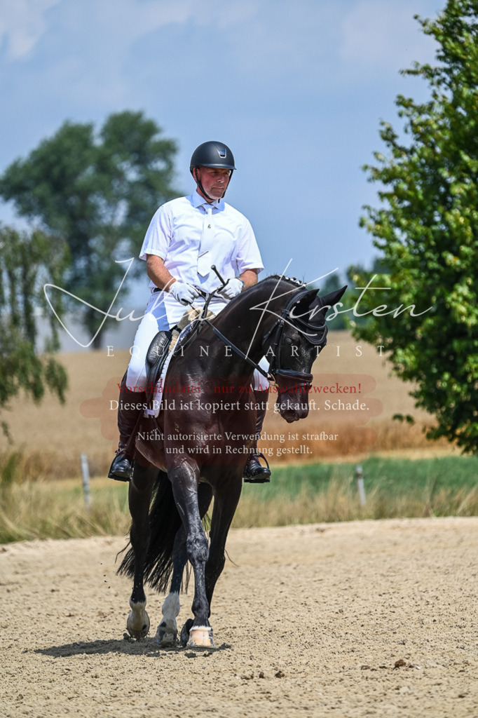DSC_2716 | Pferde- und Turnierfotografie in Westsachsen. Pferdeportraits, Auftragszeichnungen und intuitive Kunst.