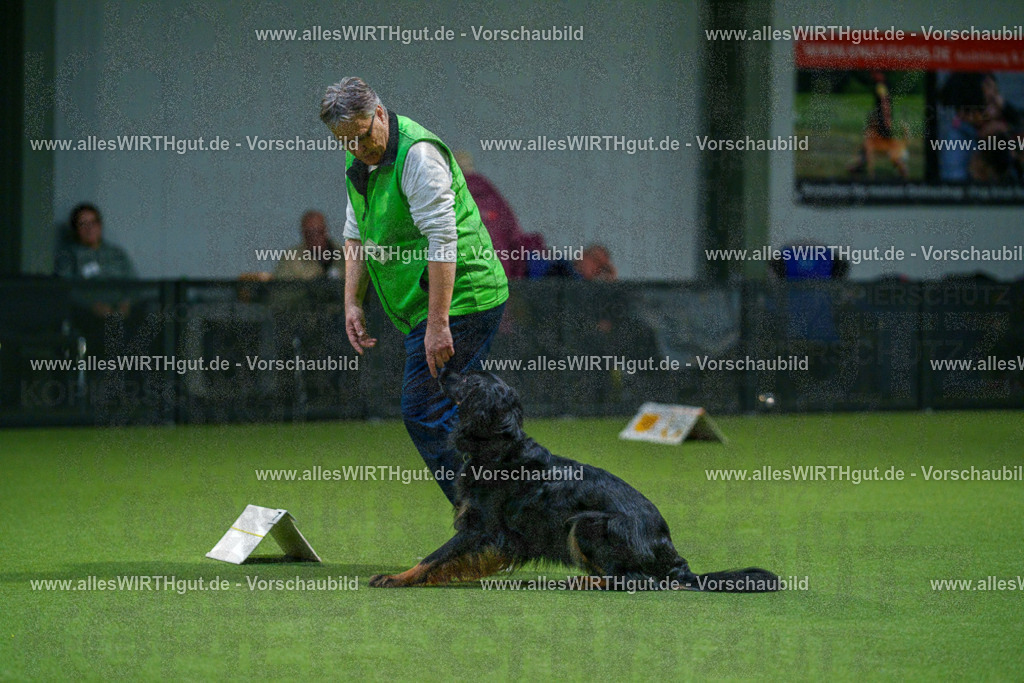 7R505361 | Professionelle Tierfotografie in Mönchengladbach von Daniel Wirth (allesWIRTHgut). Liebevolle & natürliche Bilder von Hunden & Katzen für unvergessliche Erinnerungen.
