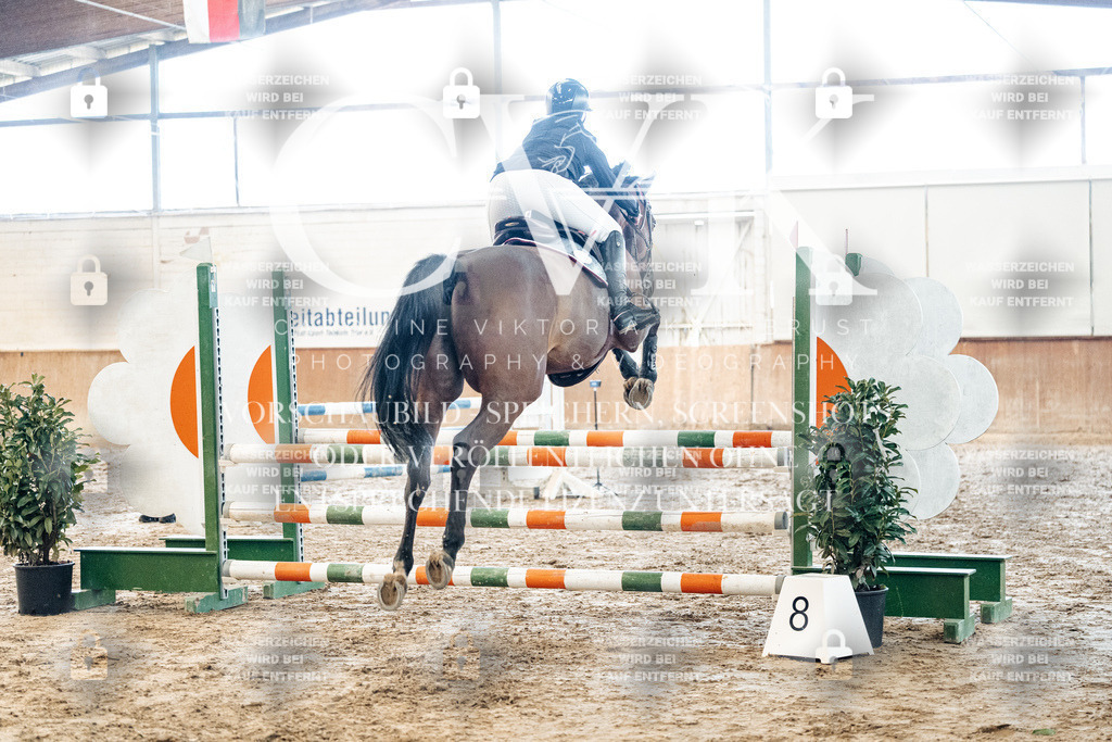 CK904410 | Turnierfotografie Pferdefotografie Trier Rheinland-Pfalz Pferdesport Reitsport Tierfotografie Sportfotografie Pferdevideo Pferdevideografie Equestrianvideography equestrianphotography  - Realisiert mit Pictrs.com