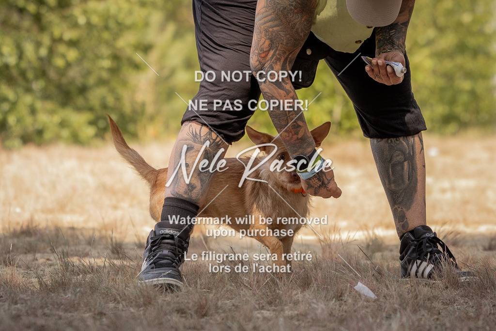 nelerasche_soDD2_50 | nelerasche
