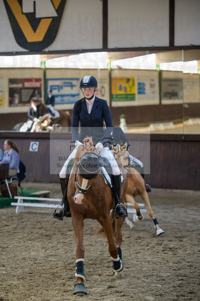 Reitturnier Voxtrup | Entdecke hochwertige Reitturnierfotos von Foto Oger. Professionell, emotional und authentisch – jetzt Lieblingsmomente im Shop bestellen.Deutschlandweite Turnierfotografie. - Realisiert mit Pictrs.com