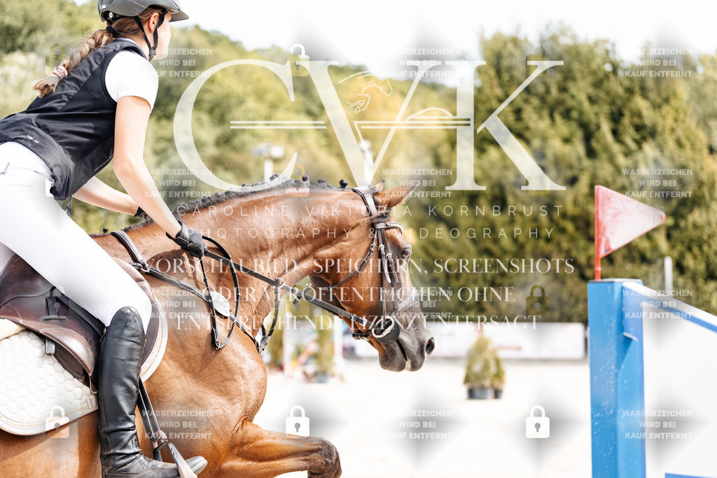 CK906565 | Turnierfotografie Pferdefotografie Trier Rheinland-Pfalz Pferdesport Reitsport Tierfotografie Sportfotografie Pferdevideo Pferdevideografie Equestrianvideography equestrianphotography  - Realisiert mit Pictrs.com