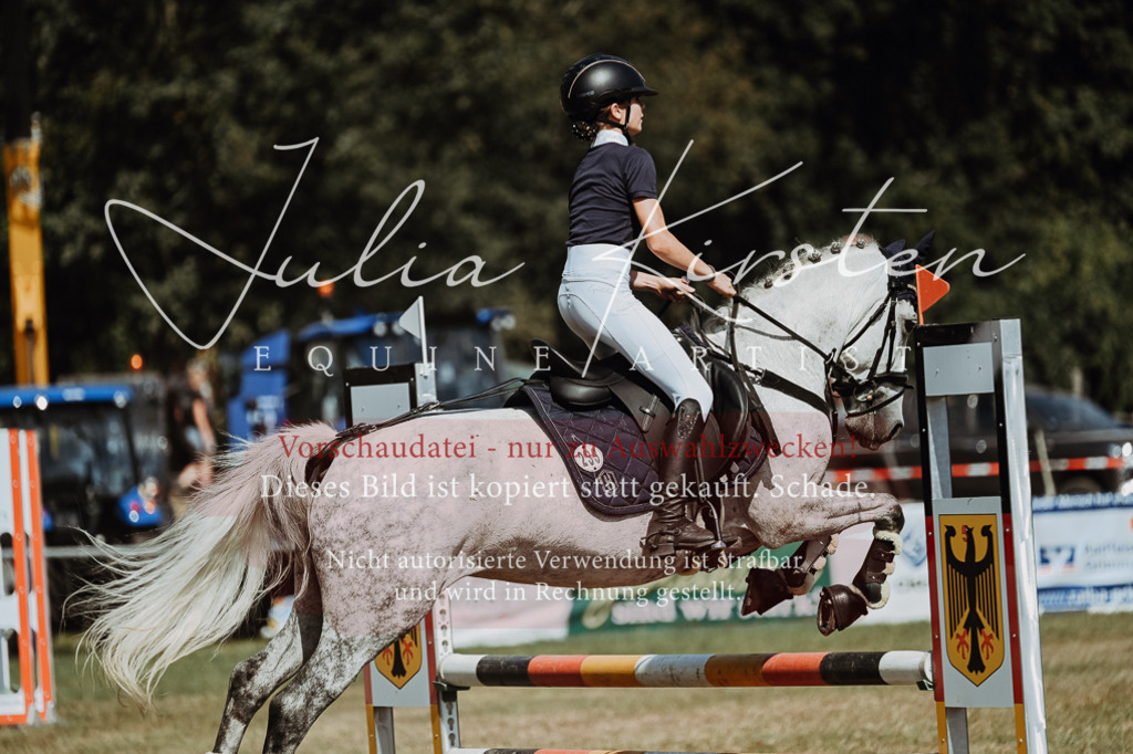 DSC_0034 | Pferde- und Turnierfotografie in Westsachsen. Pferdeportraits, Auftragszeichnungen und intuitive Kunst.