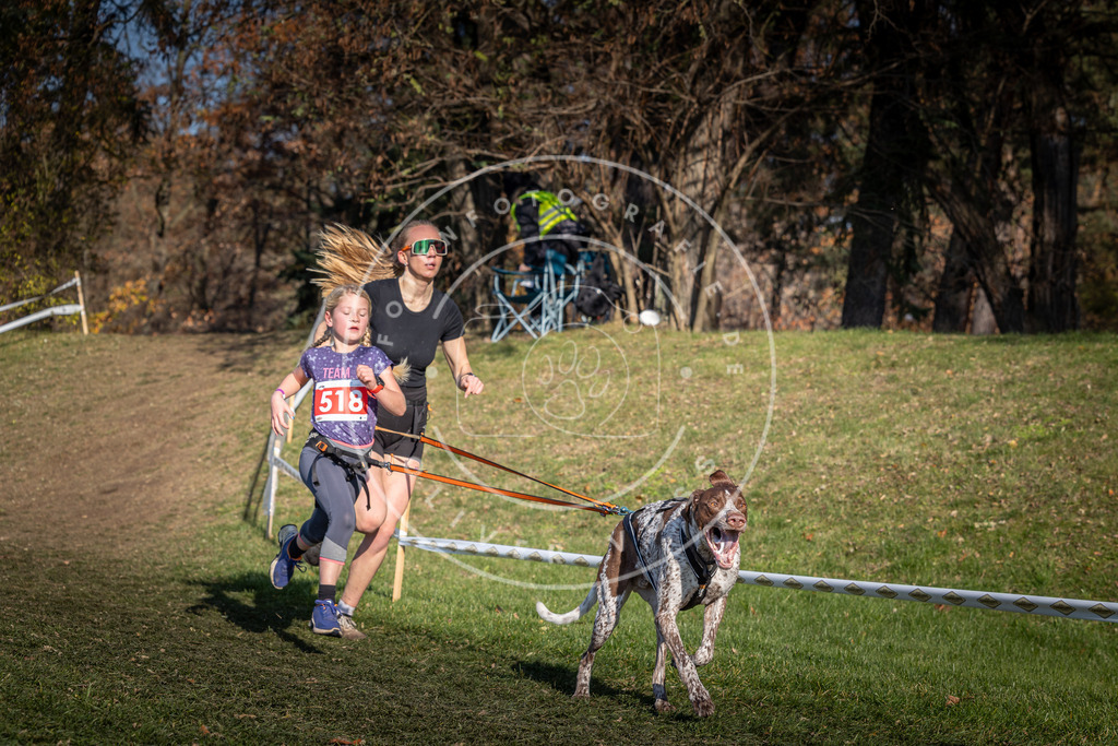 CaniXpix_0L8A8631 | Hundefotografie, Tierfotograf, Pfotenfotografie, Fotoshooting Hund, Hunde Portrait, Hundesport, Hundeportraits, Heideshooting, Hunde, Sportfotograf, Hundefotograf, Turnierhundsport, THS,  - Realisiert mit Pictrs.com