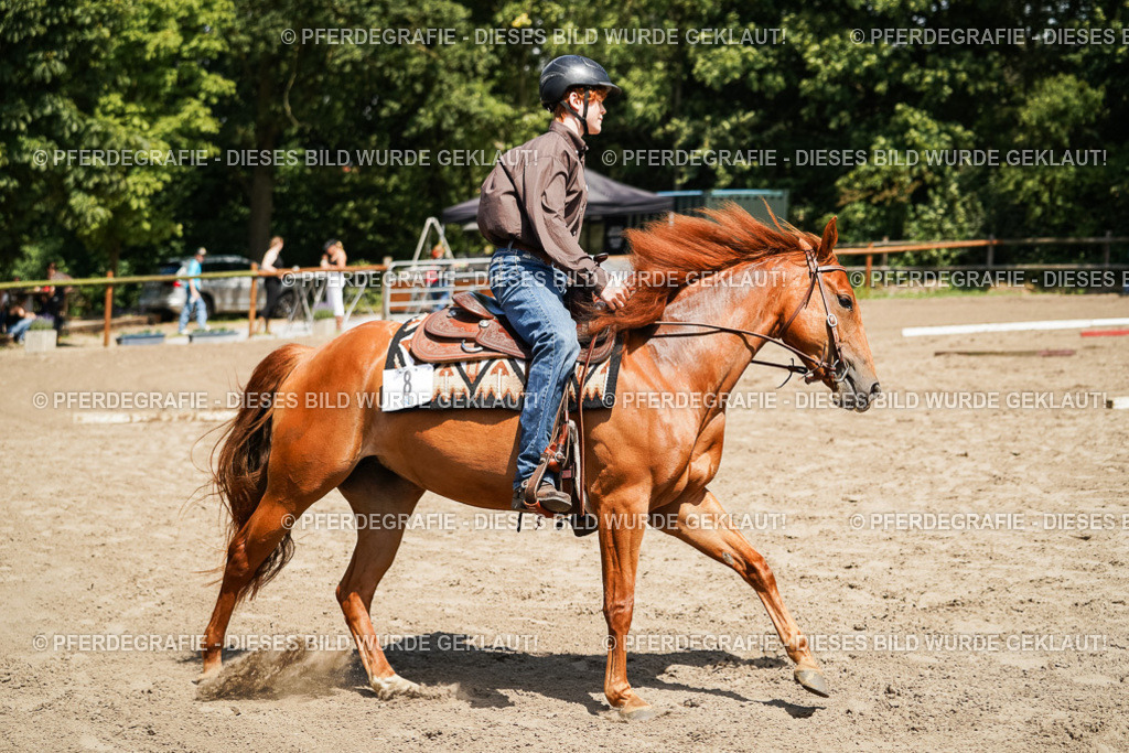 DSC07574 | Pferdegrafie