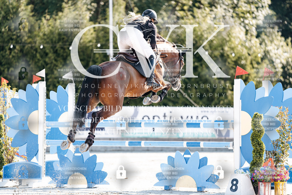 CK901623 | Turnierfotografie Pferdefotografie Trier Rheinland-Pfalz Pferdesport Reitsport Tierfotografie Sportfotografie Pferdevideo Pferdevideografie Equestrianvideography equestrianphotography  - Realisiert mit Pictrs.com