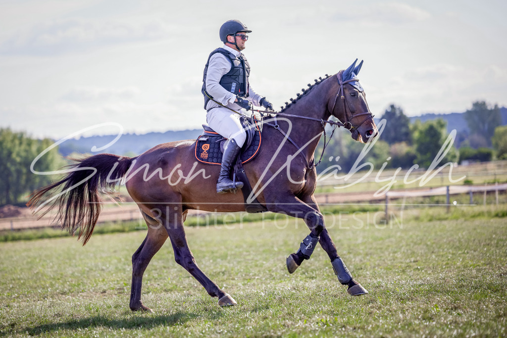 20250906-_3LI7099 | Tierfotografie Pferde, Hunde, Katzen, Haustiere.
Turnierfotografie Reitturniere, Reiten, Springreiten, Dressur in Hanau, dem Main-Kinzig-Kreis und dem Rhein-Main- Gebiet um Frankfurt