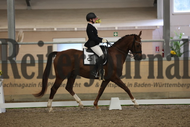 Waghäusel-Wiesental_2024_Prfg.Nr.08_1.WP_U25_Miriam Schwärzler_Daily Pleasure 26 (2) | Alle Fotos der Reiterjournal Fotografin Doris Matthaes im Reiterjournal Online-Fotoshop. - Realisiert mit Pictrs.com