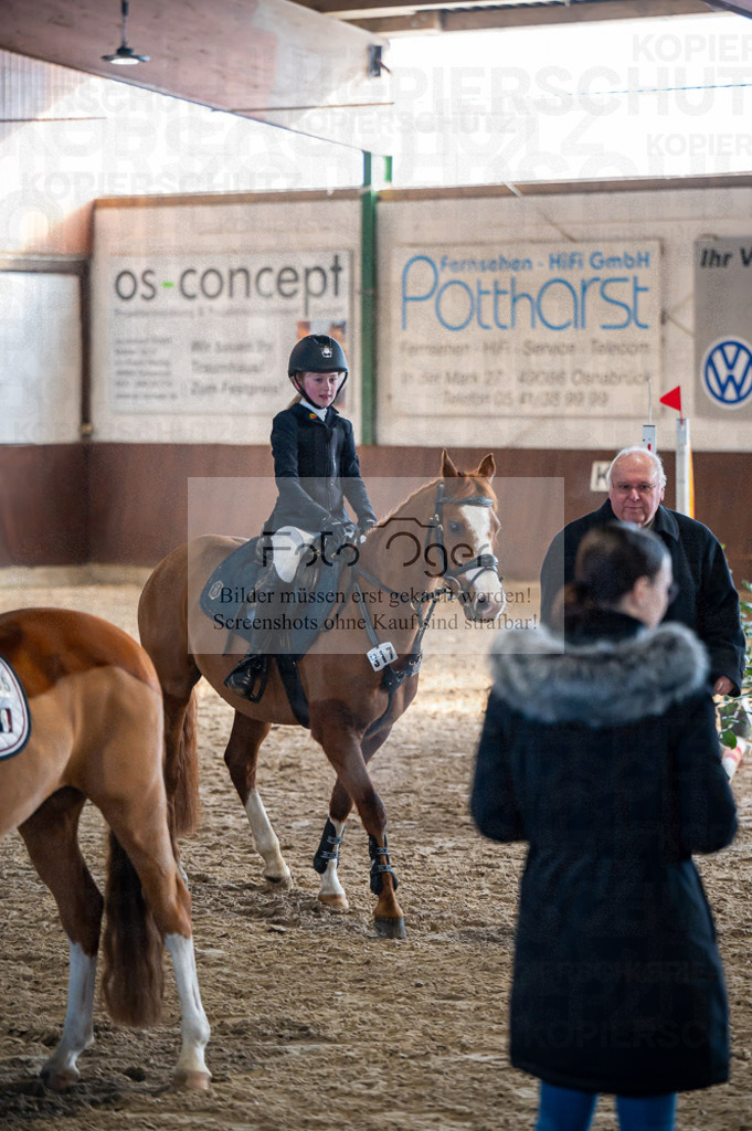 Hallenreittunier Voxtrup 2023 | Entdecke hochwertige Reitturnierfotos von Foto Oger. Professionell, emotional und authentisch – jetzt Lieblingsmomente im Shop bestellen.Deutschlandweite Turnierfotografie. - Realisiert mit Pictrs.com