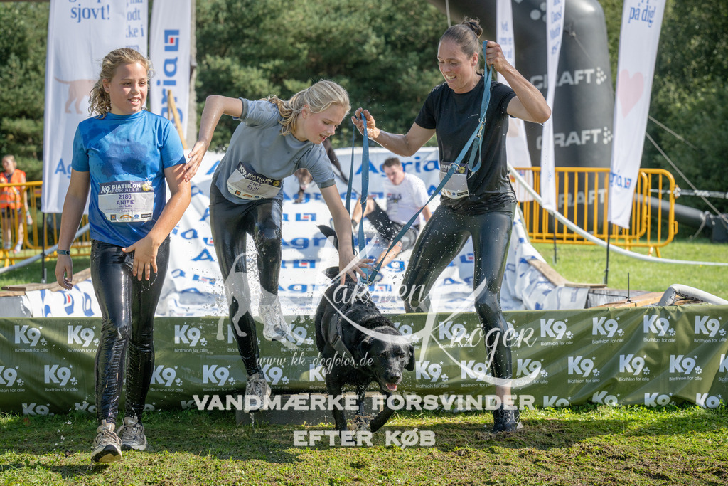 1040_ZZ99313 | kk-dogfotos