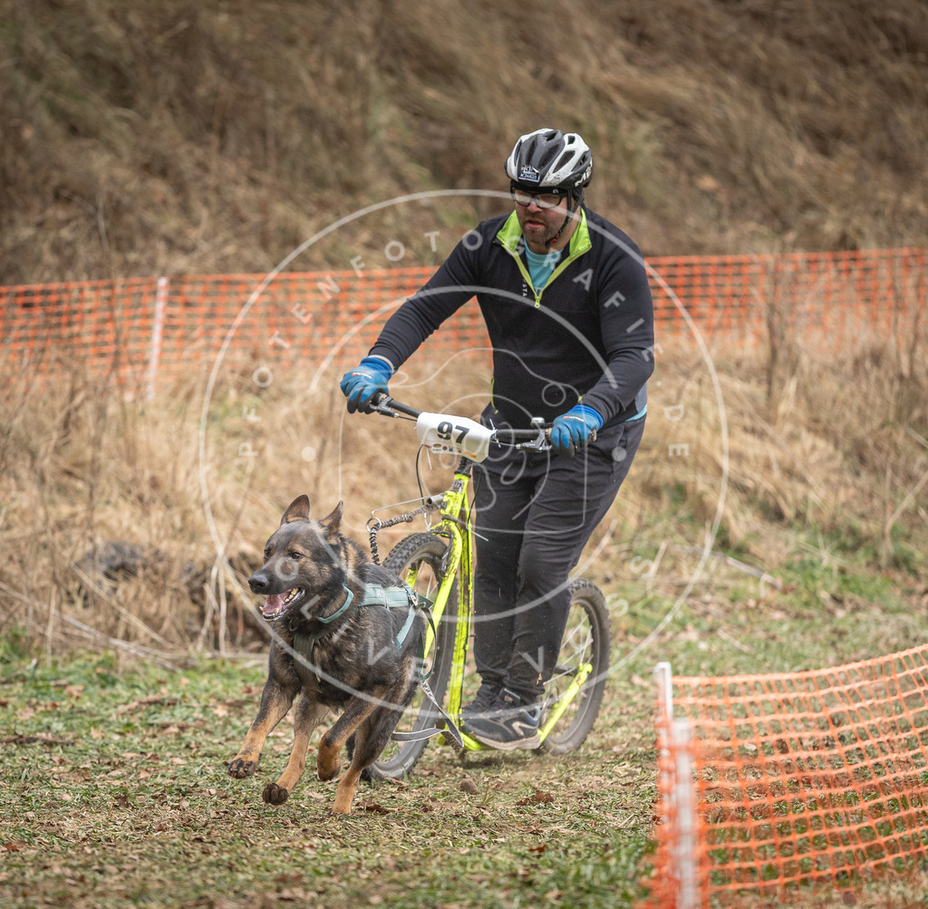 Pfotenfotografie_DV3A7120 | Hundefotografie, Tierfotograf, Pfotenfotografie, Fotoshooting Hund, Hunde Portrait, Hundesport, Hundeportraits, Heideshooting, Hunde, Sportfotograf, Hundefotograf, Turnierhundsport, THS,  - Realisiert mit Pictrs.com