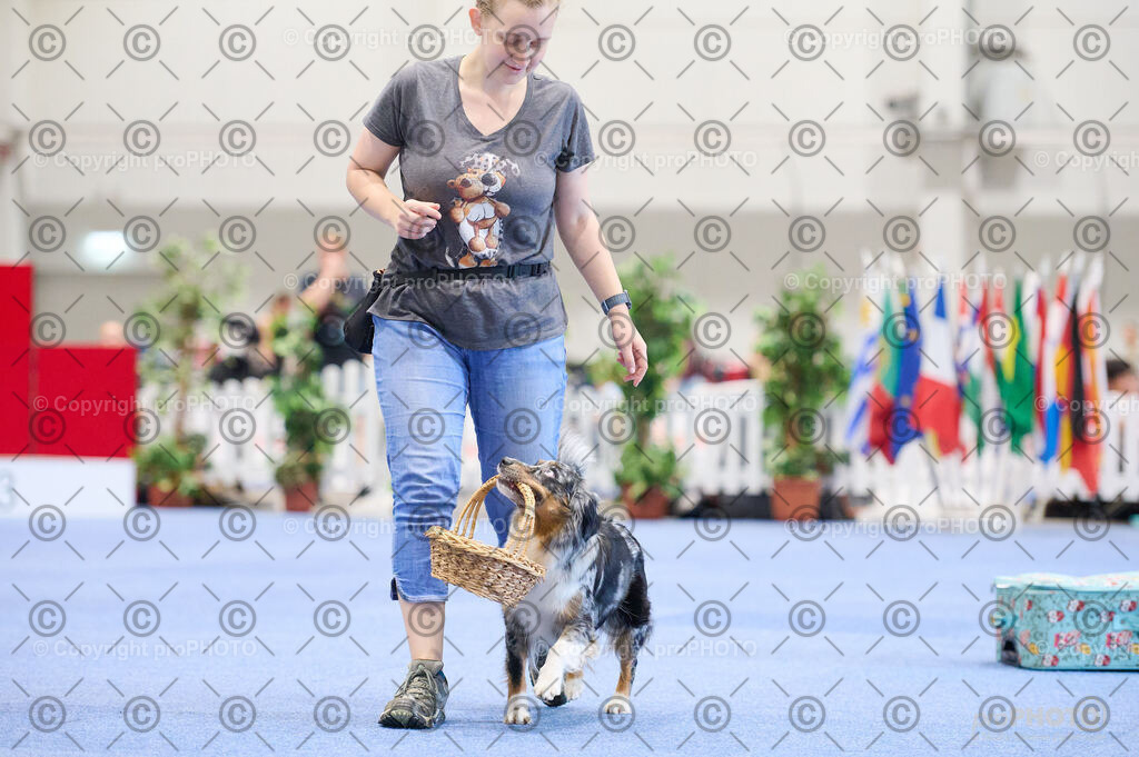 202406_ÖKV-IHA-Tulln24_DSC_4544 | proPHOTO - Realisiert mit Pictrs.com