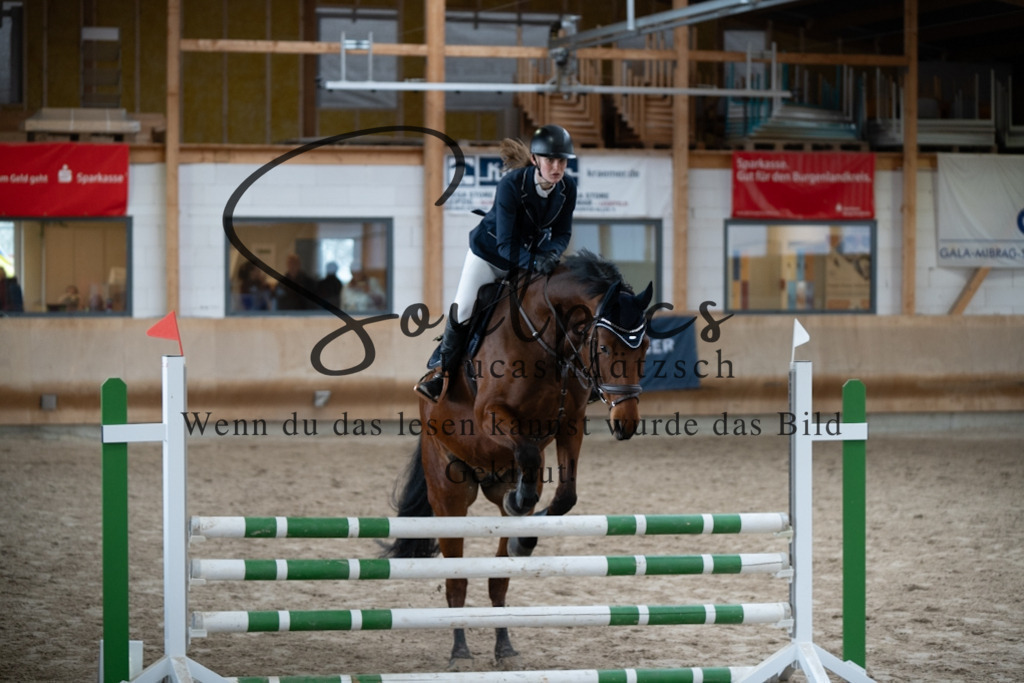 A7V00404 | Pferdefotograf