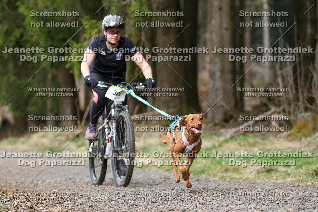Dog Paparazzi - VCC26-583 | Dog Paparazzi Jeanette Grottendiek Fotografie & Videografie - Realisiert mit Pictrs.com