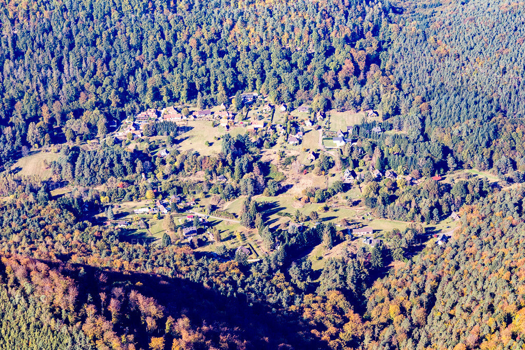 Vue aérienne: Wengelsbach à Niedersteinbach dans le département Bas Rhin, France. Photo: IMG_095092.jpg prise le 16/10/2016 par Werner Riehm/FLY-FOTO.eu – Résolution de l'original: 5472 x 3648 px